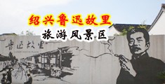 骚,插视频在线中国绍兴-鲁迅故里旅游风景区