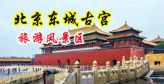 啊啊啊想要大鸡巴视频中国北京-东城古宫旅游风景区